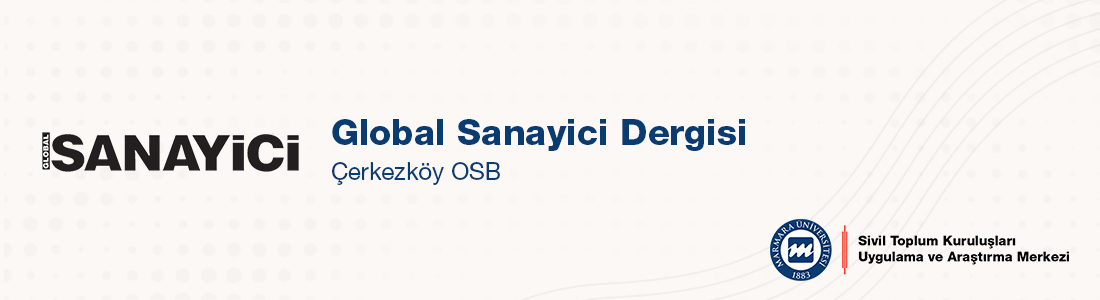 globalsanayici.jpg (95 KB)