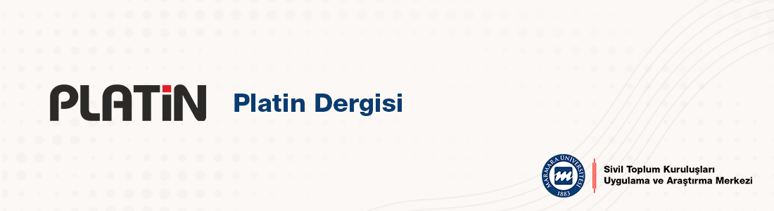 platindergisi.jpg (73 KB)