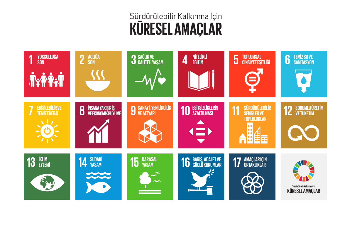 Sustainable_Development_Goals-tr.svg.png (154 KB)