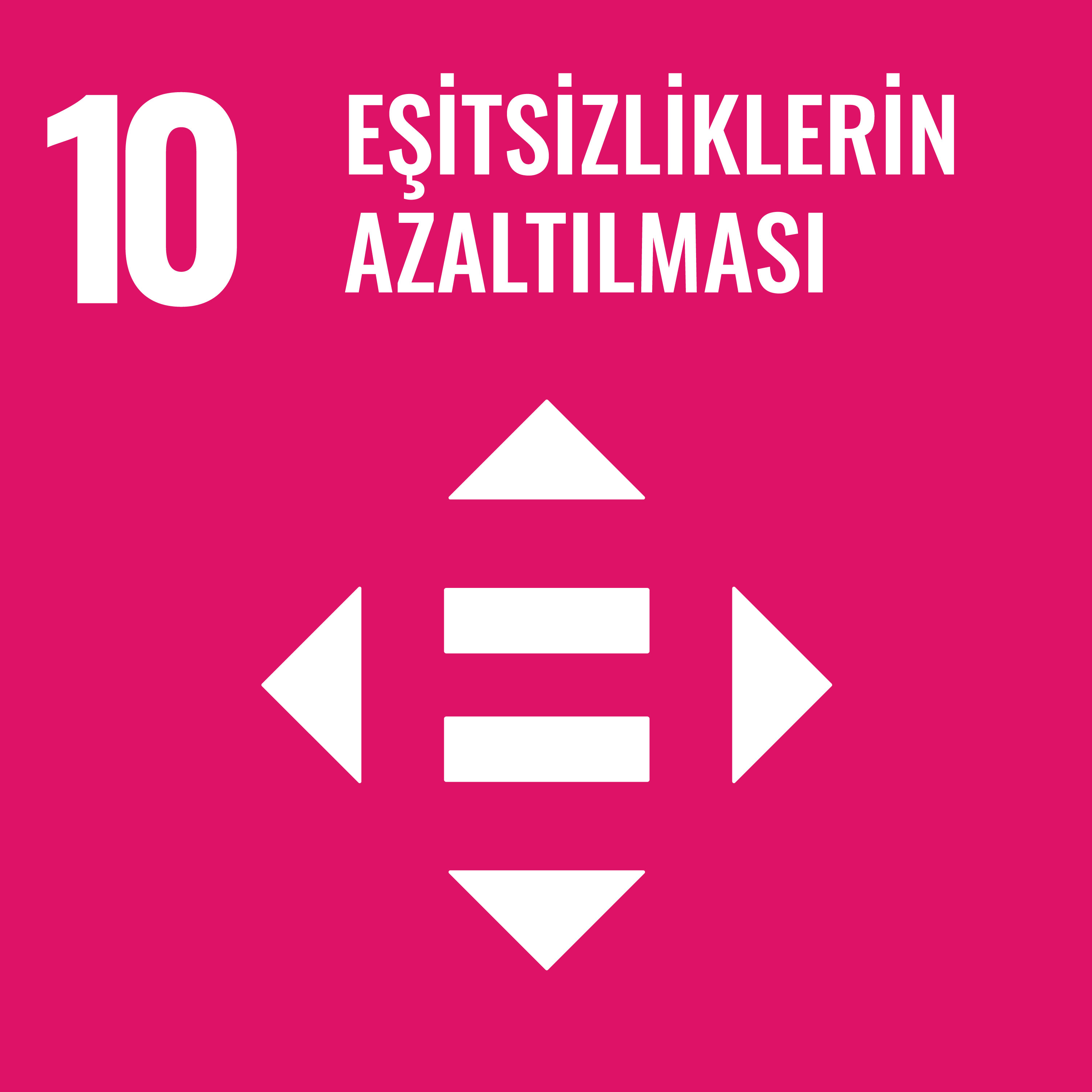 SDG-10.jpg (238 KB)