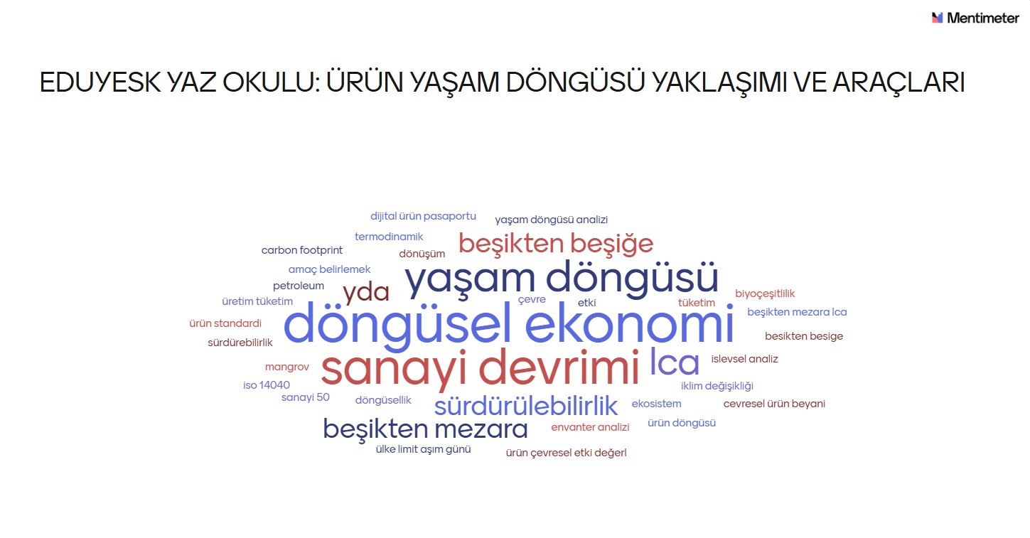ee4.jpeg (131 KB)